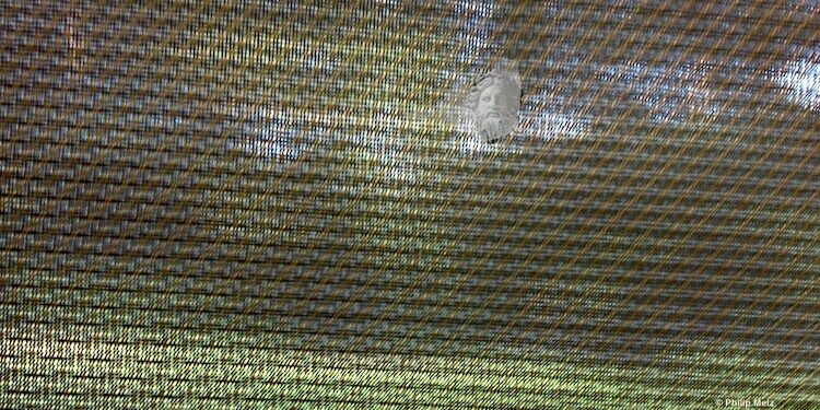 Una familia digna y respetable – Anne Weinstein